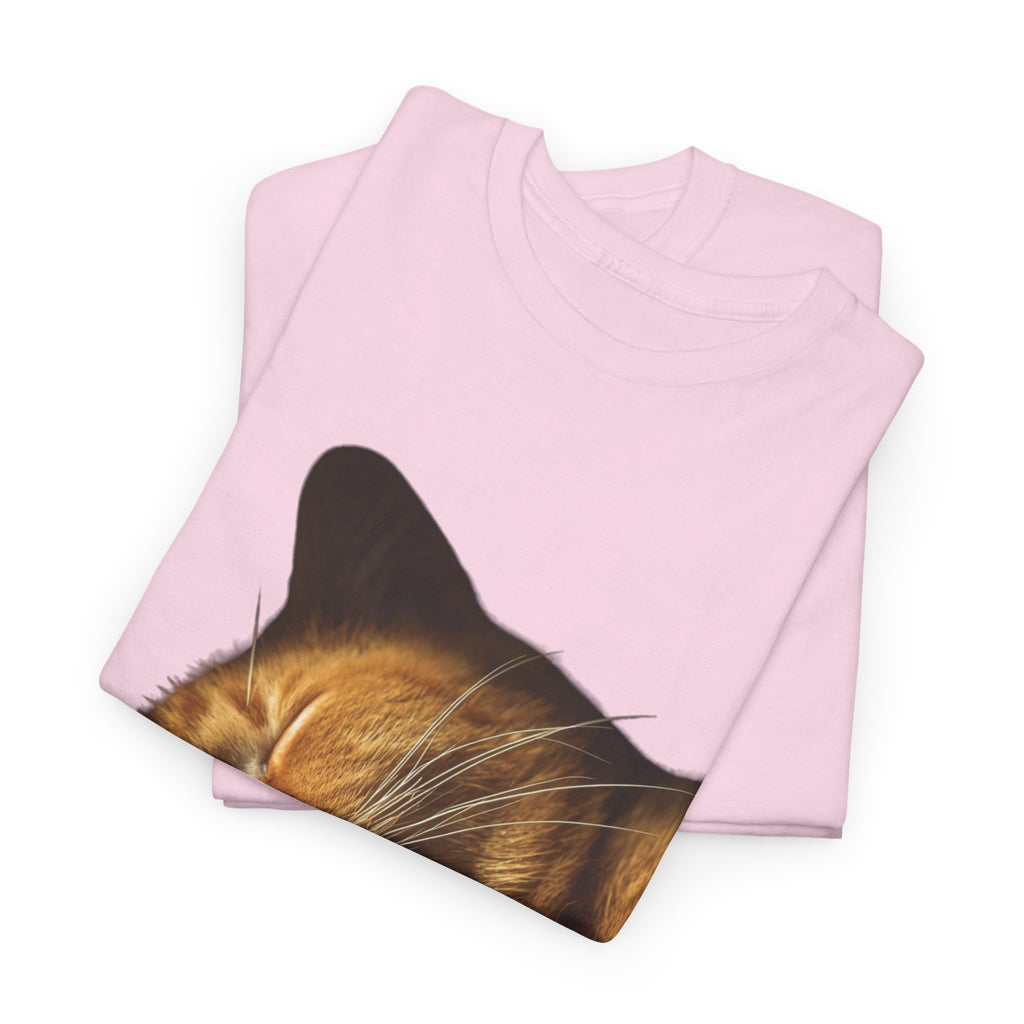 Sleeping Ginger Cat T-Shirt