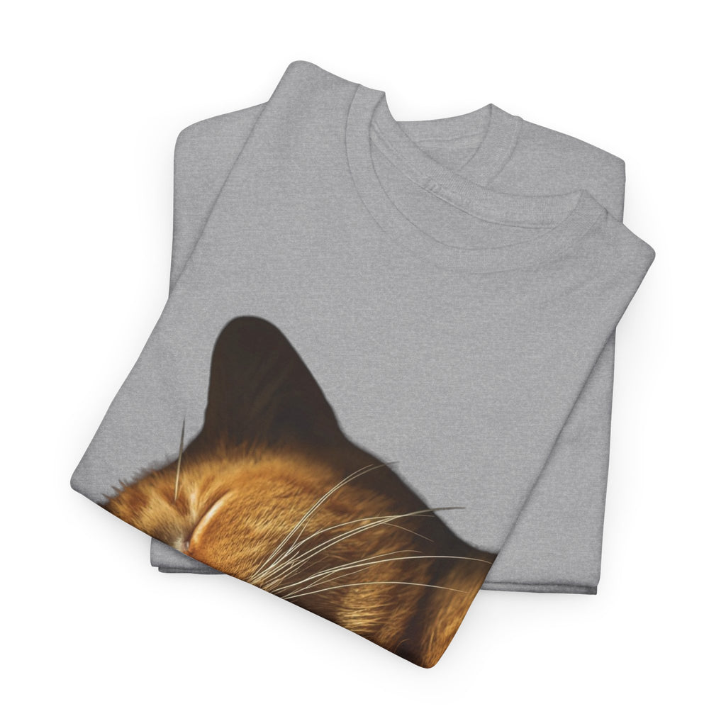 Sleeping Ginger Cat T-Shirt