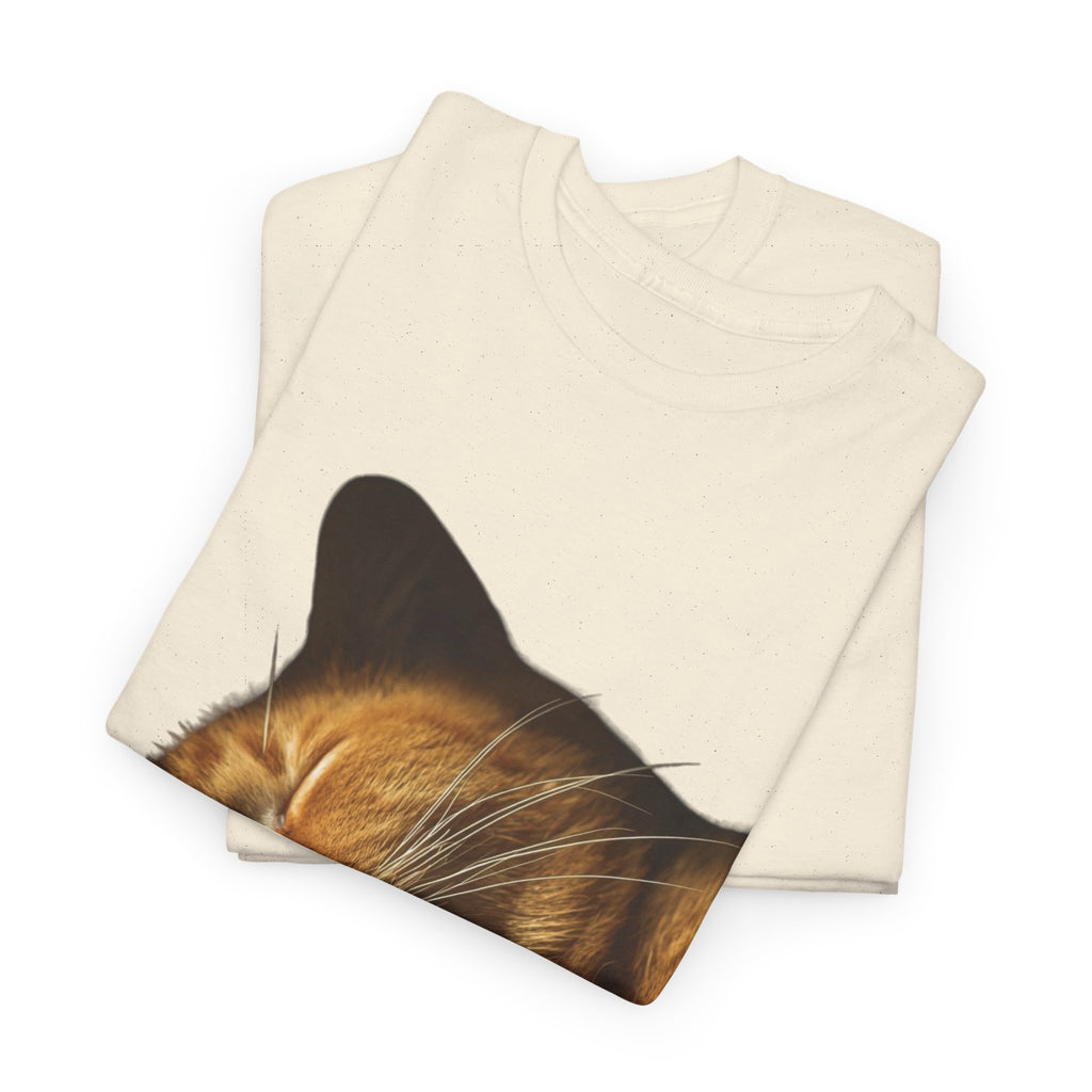 Sleeping Ginger Cat T-Shirt