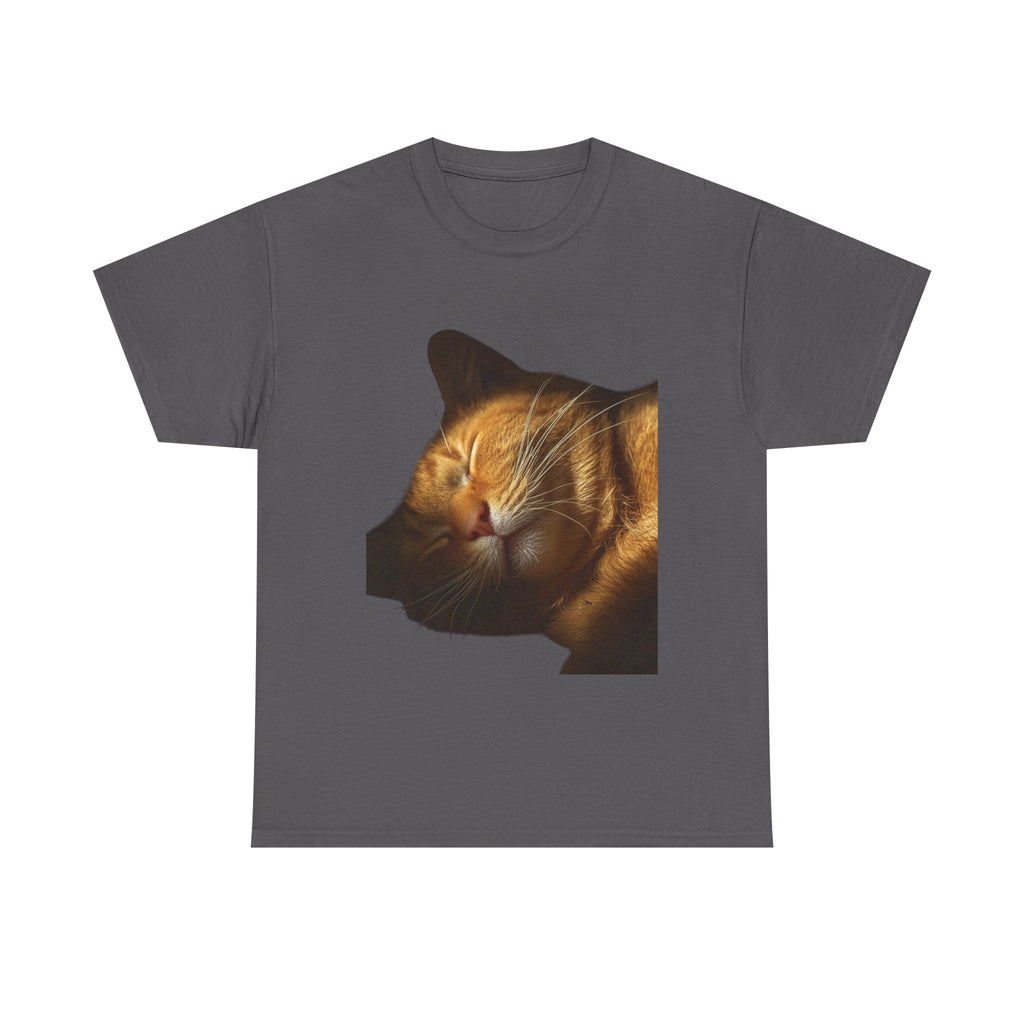 Sleeping Ginger Cat T-Shirt