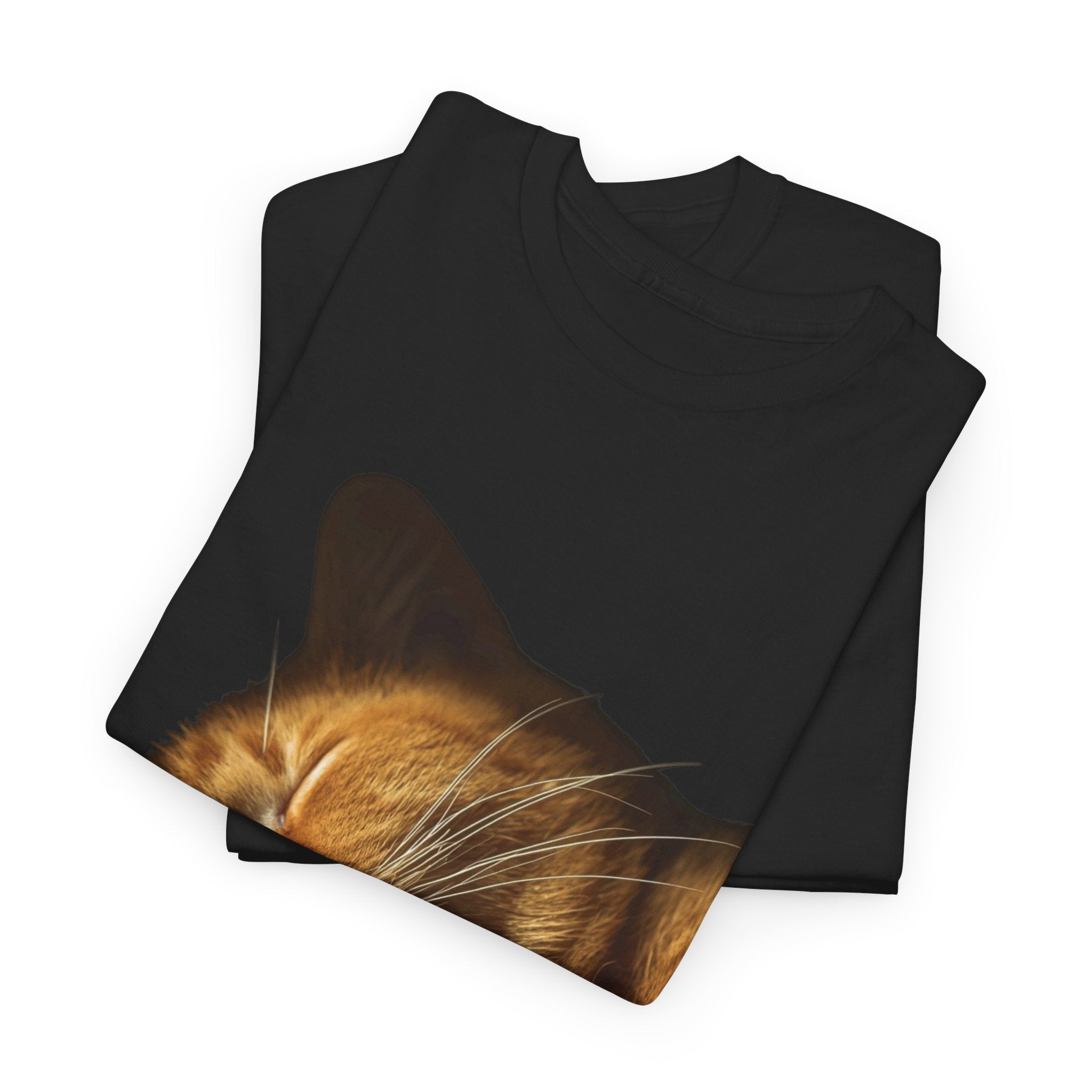 Sleeping Ginger Cat T-Shirt