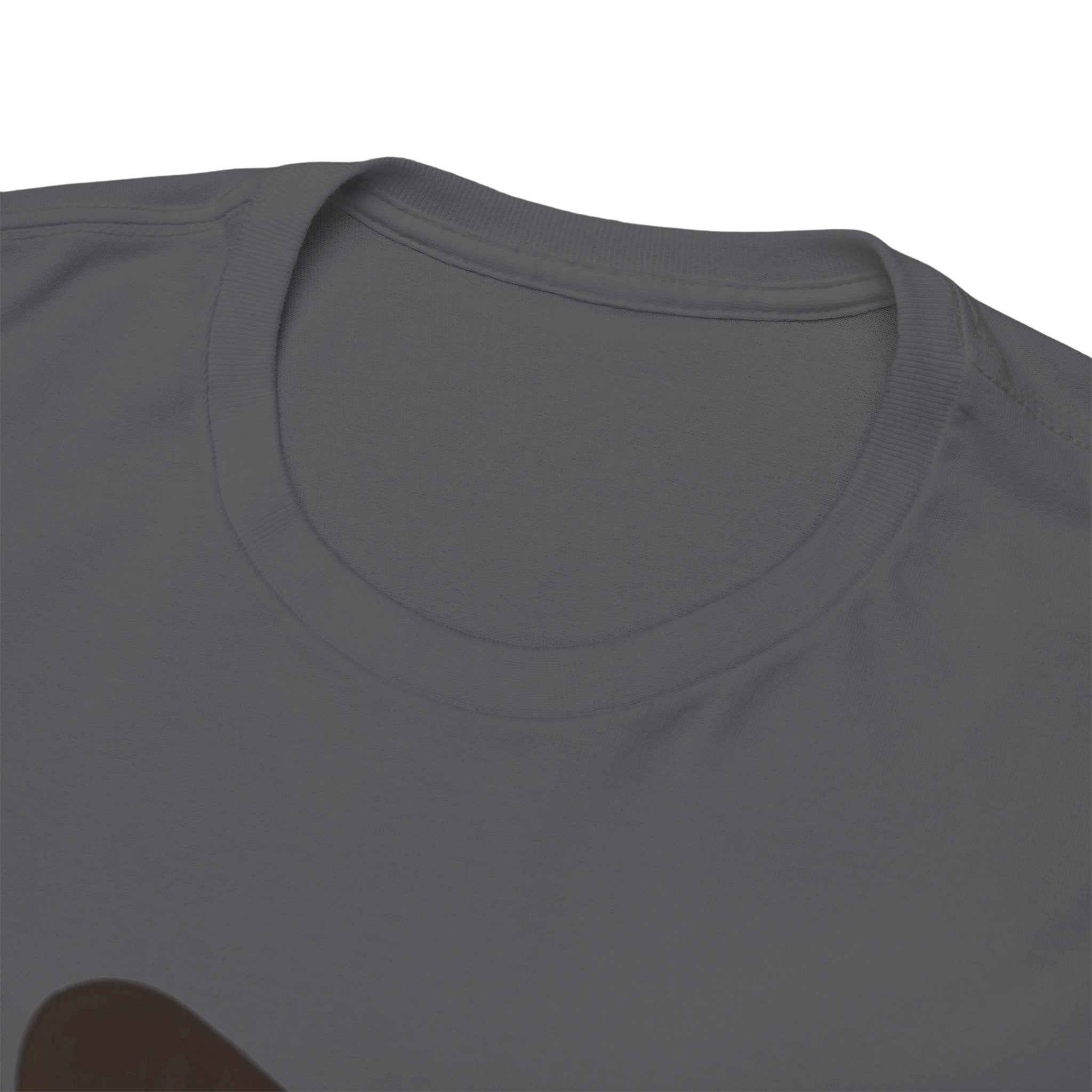 Sleeping Ginger Cat T-Shirt