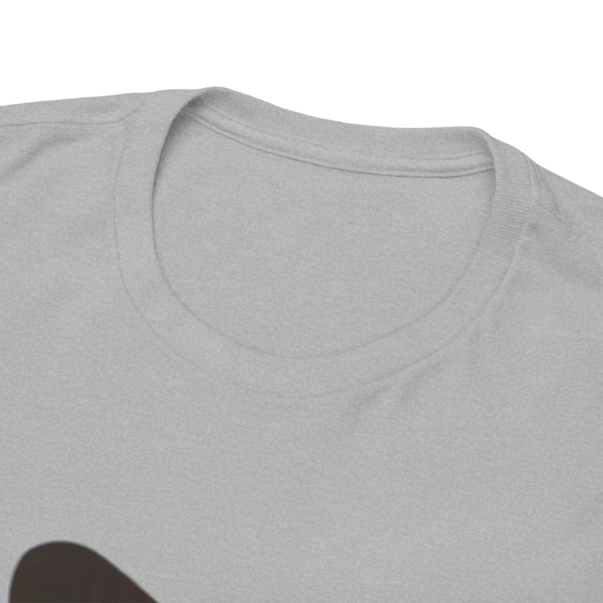 Sleeping Ginger Cat T-Shirt