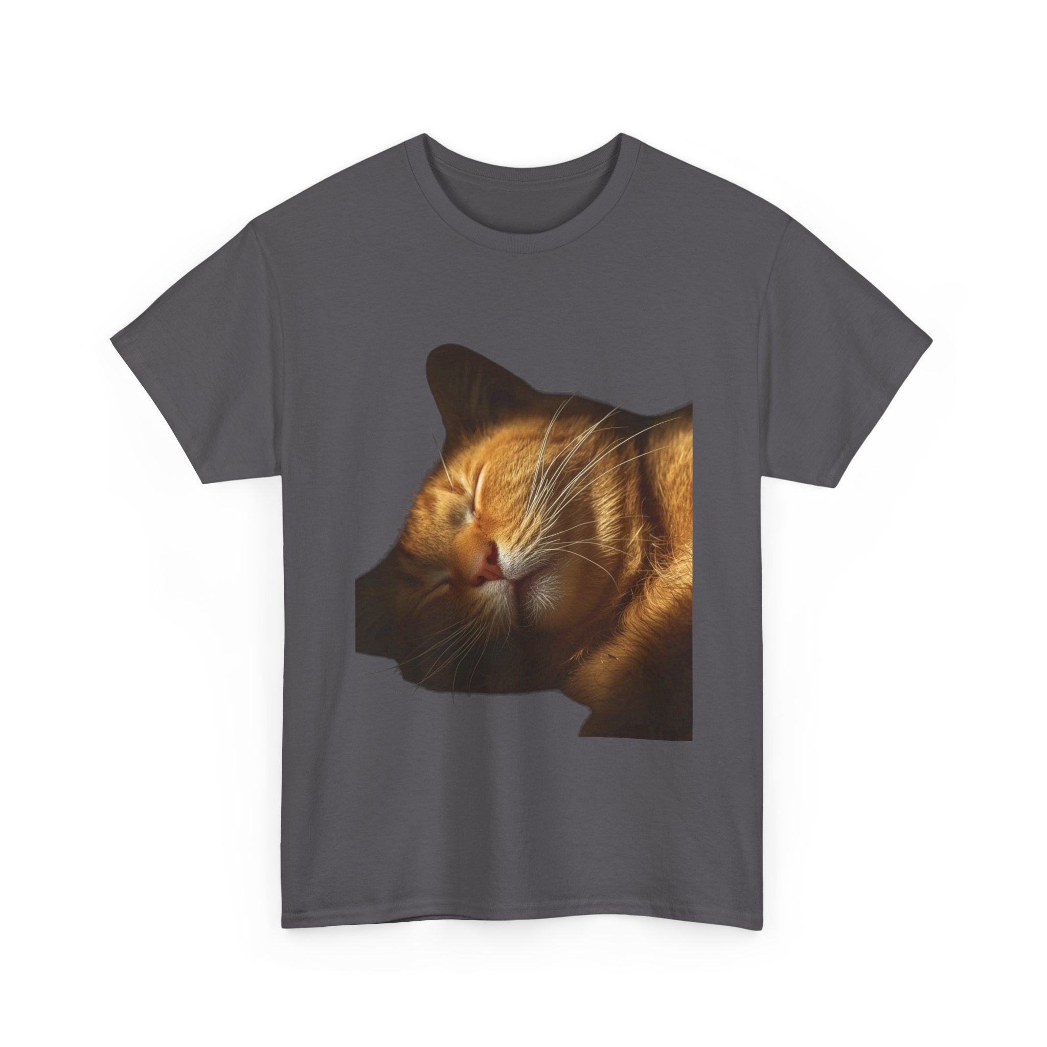 Sleeping Ginger Cat T-Shirt