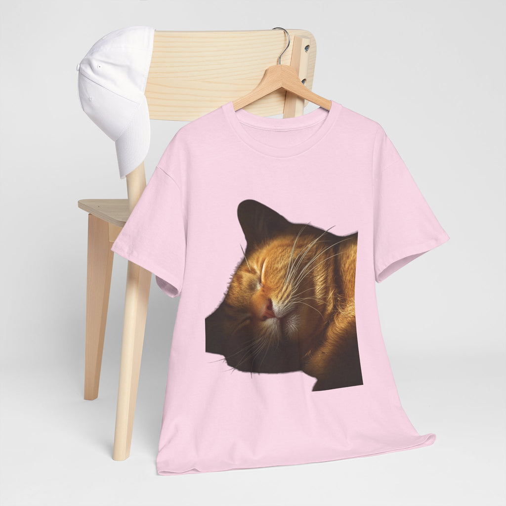 Sleeping Ginger Cat T-Shirt