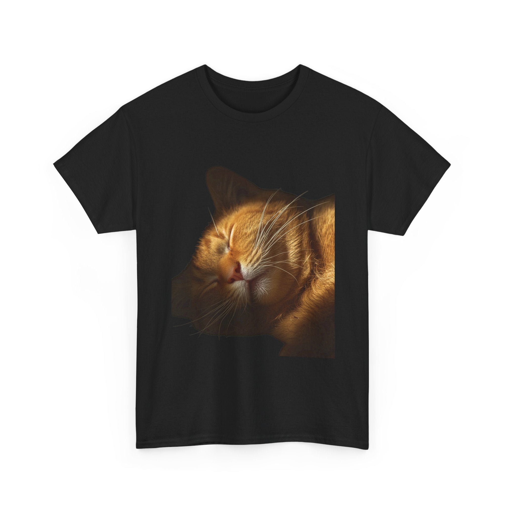 Sleeping Ginger Cat T-Shirt