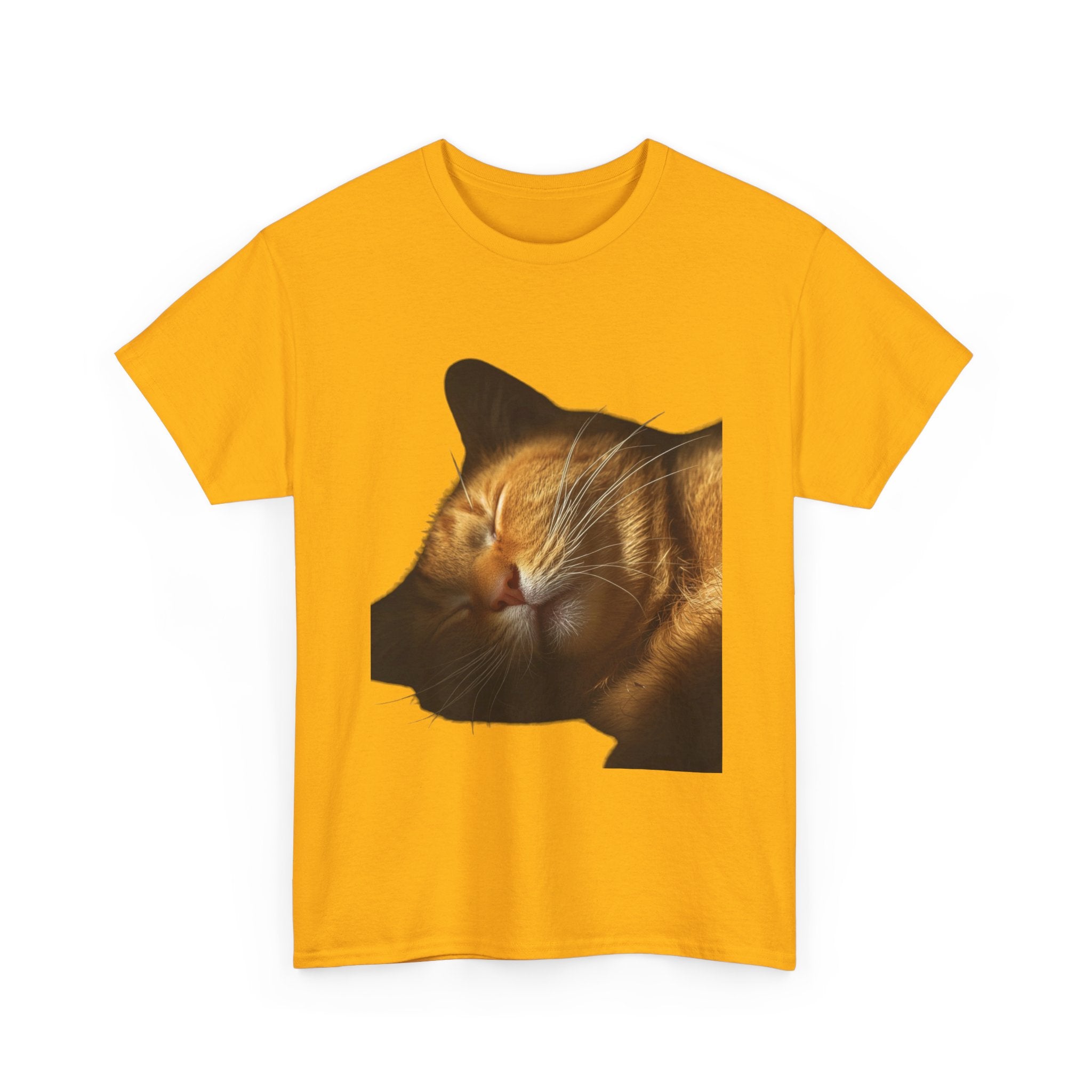 Sleeping Ginger Cat T-Shirt