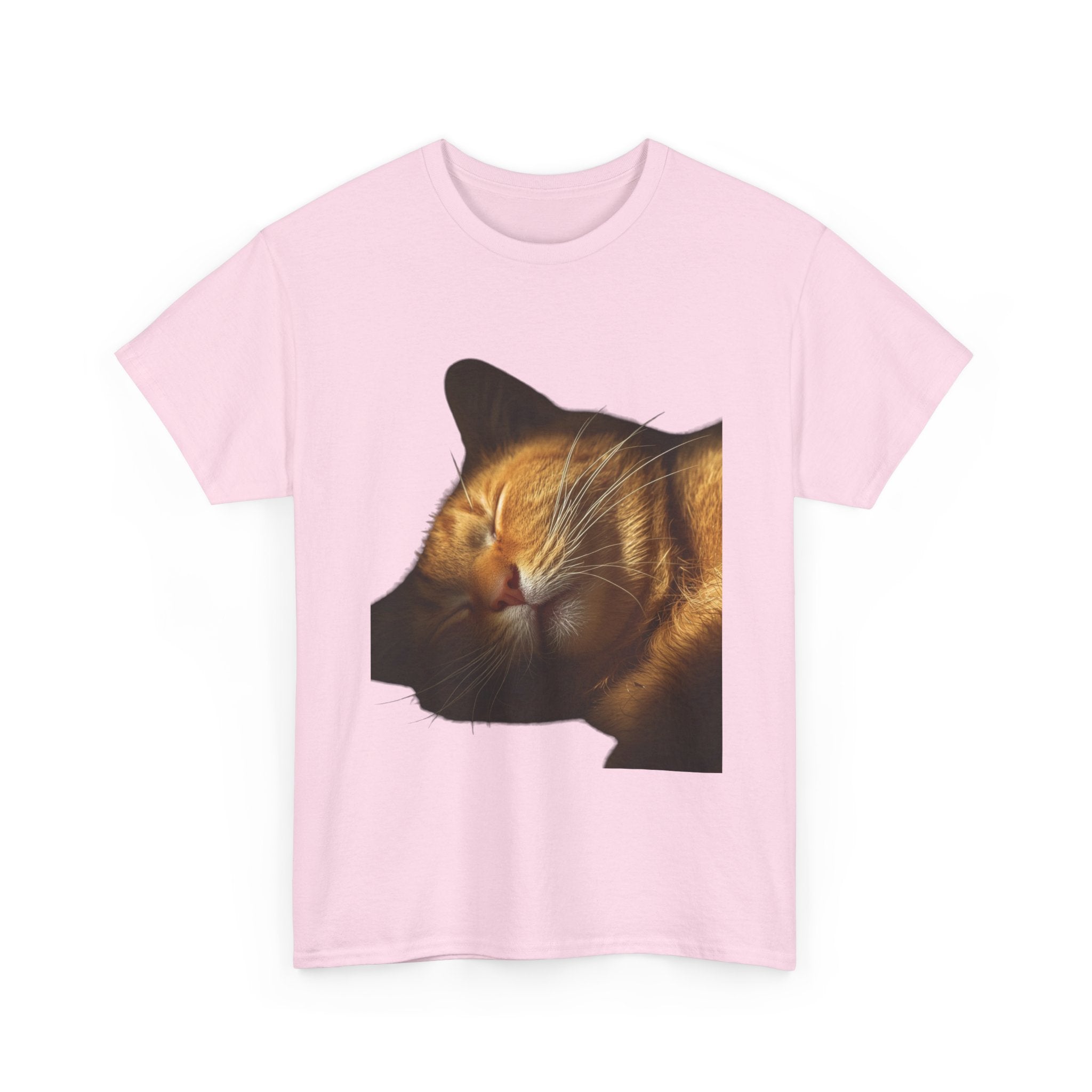 Sleeping Ginger Cat T-Shirt