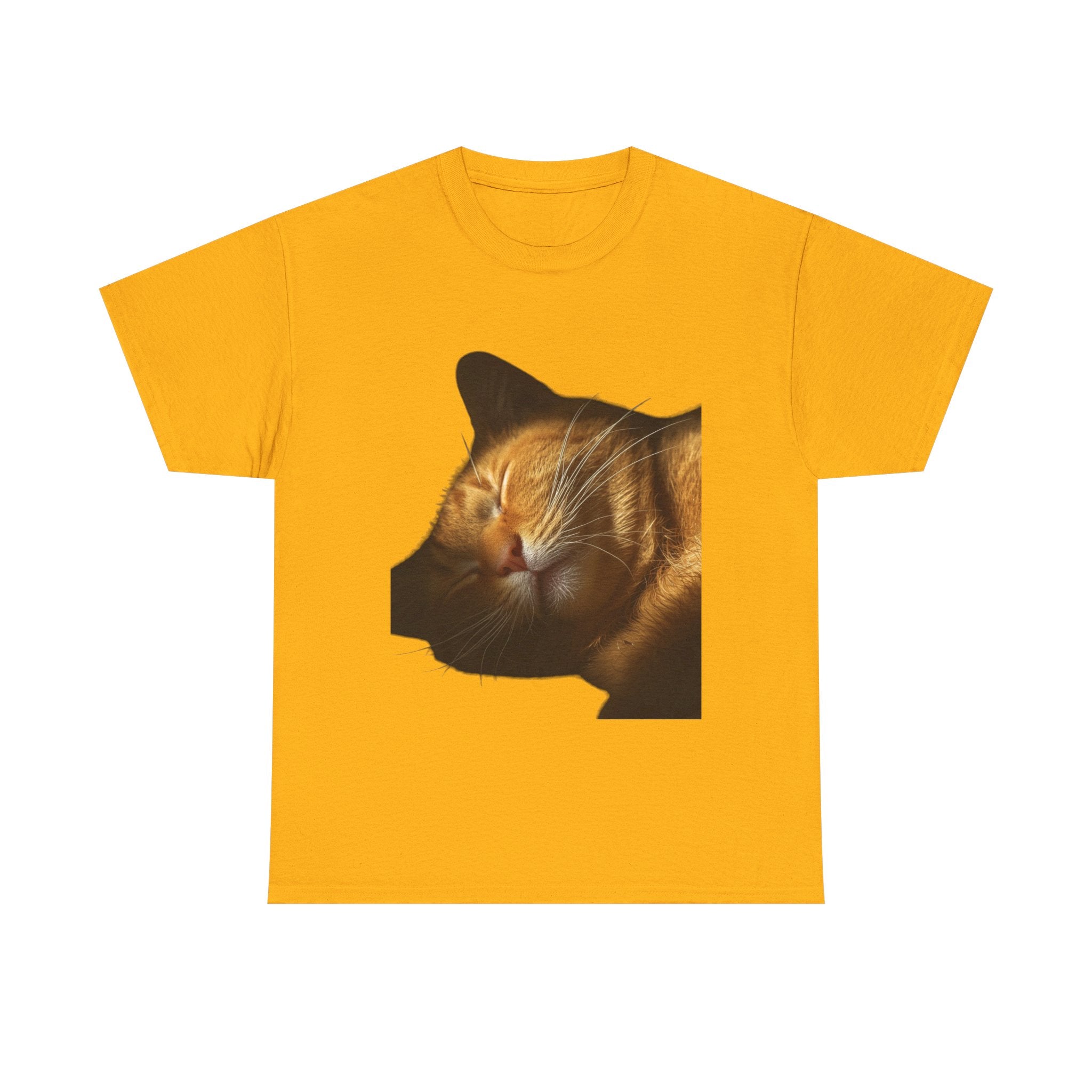 Sleeping Ginger Cat T-Shirt