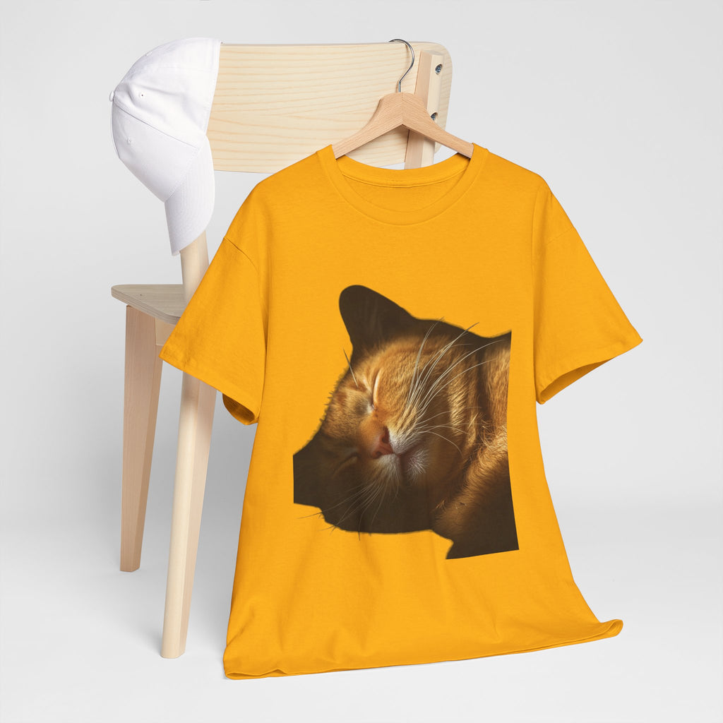 Sleeping Ginger Cat T-Shirt
