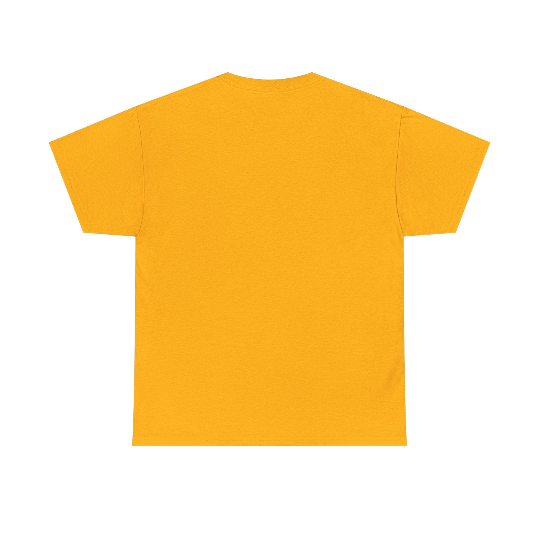 Sleeping Ginger Cat T-Shirt