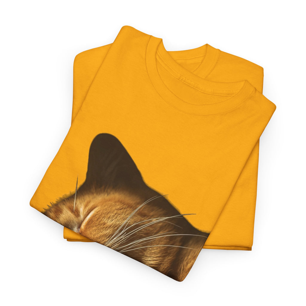 Sleeping Ginger Cat T-Shirt