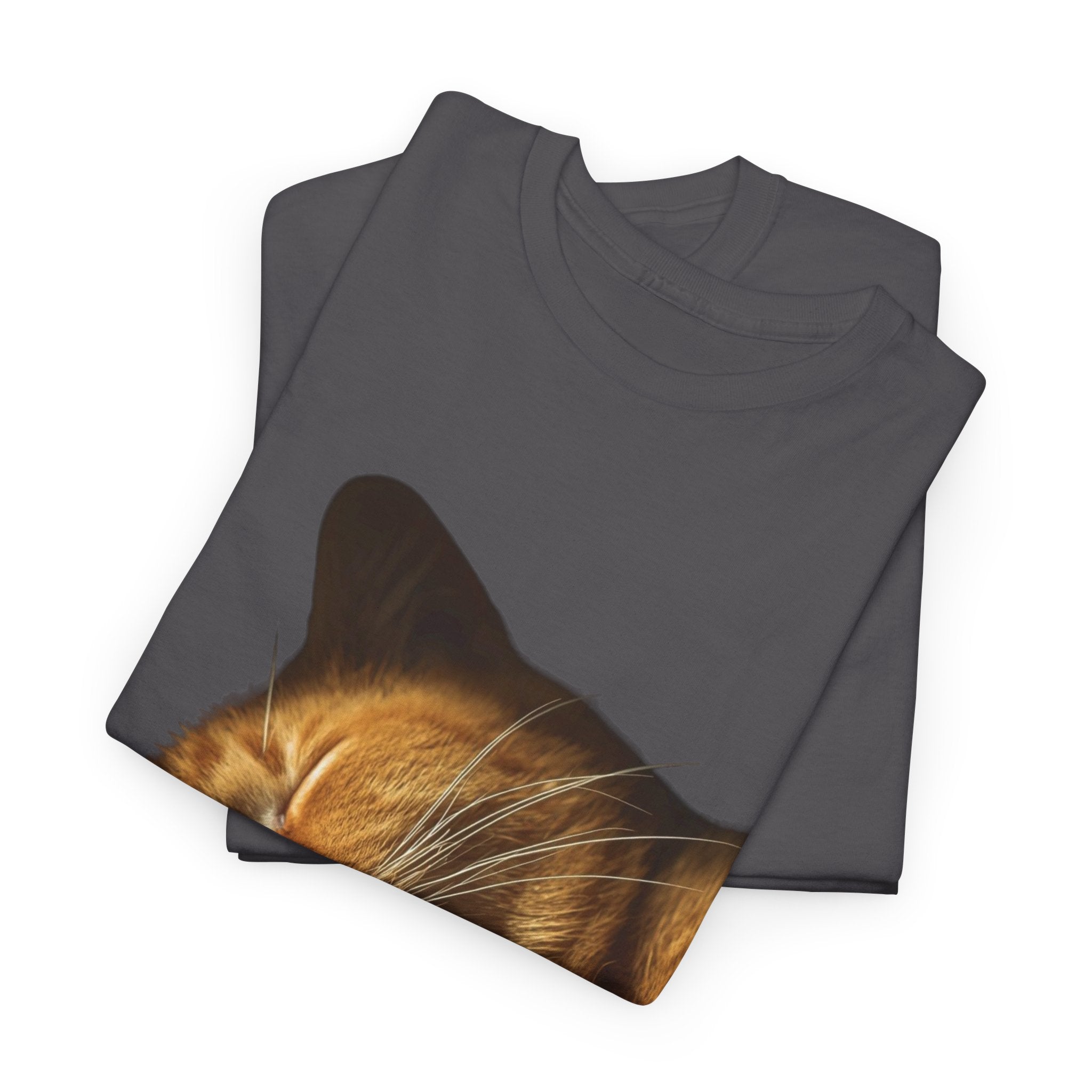 Sleeping Ginger Cat T-Shirt